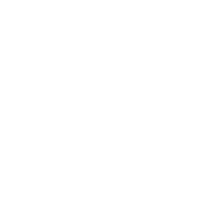 React-Icon